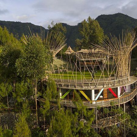 Pagupon Bromo Budget Lodge Dış mekan fotoğraf