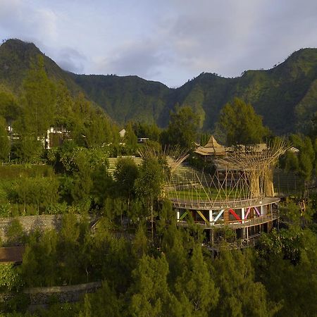 Pagupon Bromo Budget Lodge Dış mekan fotoğraf