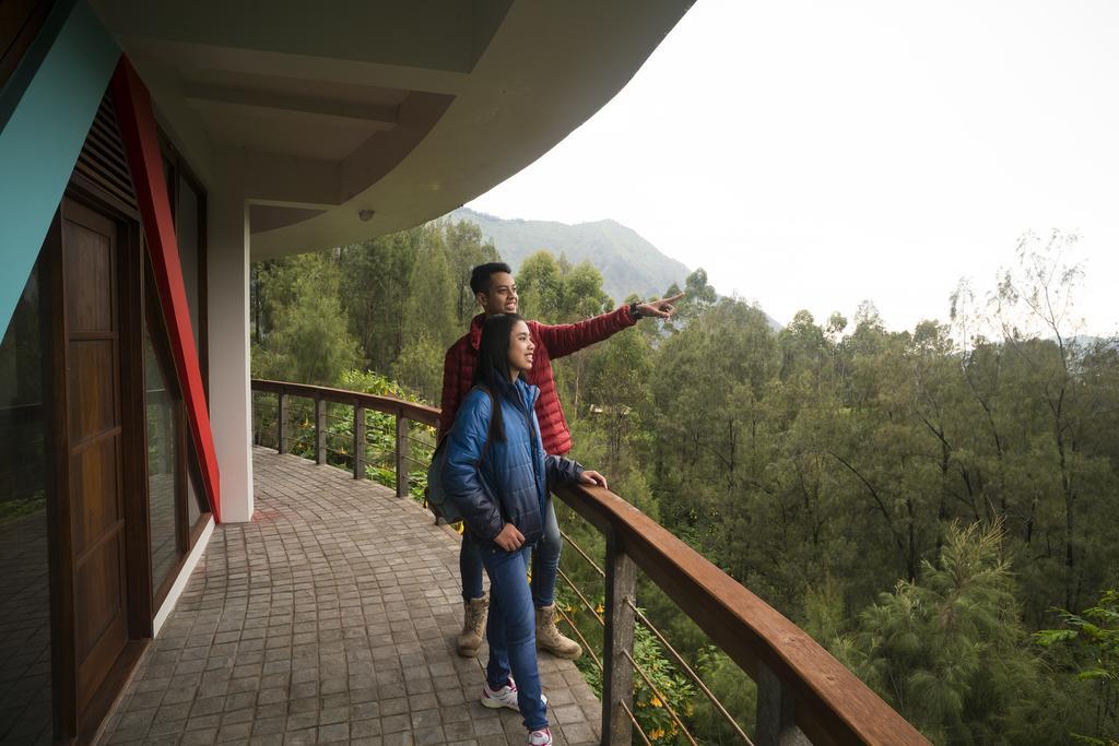 Pagupon Bromo Budget Lodge Dış mekan fotoğraf
