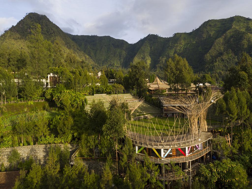 Pagupon Bromo Budget Lodge Dış mekan fotoğraf